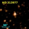 HD 313977