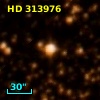 HD 313976