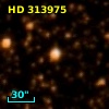 HD 313975