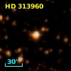 HD 313960