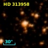 HD 313958