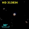 HD 313834