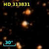 HD 313831