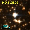 HD 313829