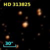 HD 313825