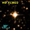 HD 313822
