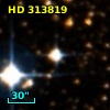 HD 313819