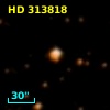 HD 313818