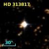 HD 313817