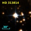 HD 313814