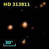 HD 313811