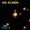 HD 313809