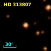 HD 313807