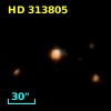 HD 313805