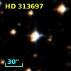 HD 313697
