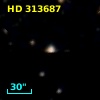 HD 313687