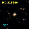 HD 313686
