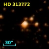 HD 313772