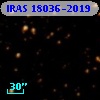 IRAS 18036-2019