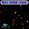 IRAS 18080-1950