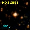 HD 313651