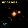 HD 313655