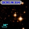 [SC95] M 314