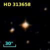 HD 313658