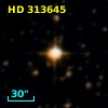 HD 313645