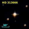 HD 313666