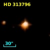 HD 313796