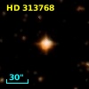 HD 313768