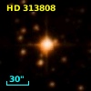 HD 313808