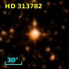 HD 313782