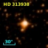 HD 313938