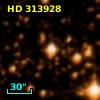 HD 313928