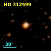 HD 312599