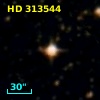 HD 313544