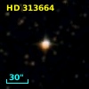 HD 313664