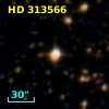 HD 313566