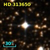 HD 313650