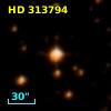 HD 313794