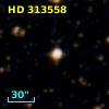 HD 313558