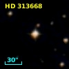 HD 313668
