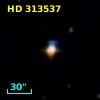 HD 313537