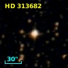 HD 313682