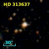 HD 313637