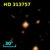 HD 313757