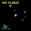 HD 313824