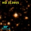 HD 313955